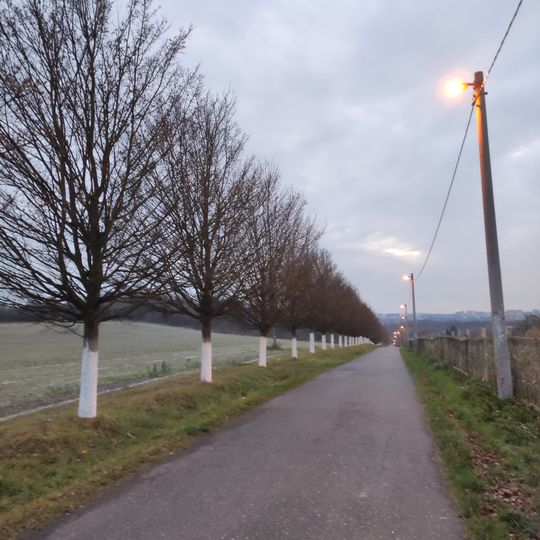 Plantacja Drzew Klonowych Hošťálkovice