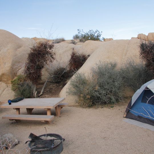 Jumbo Rocks Campground