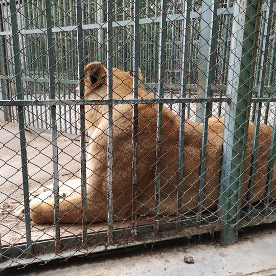 Зоопарк "Хасково"