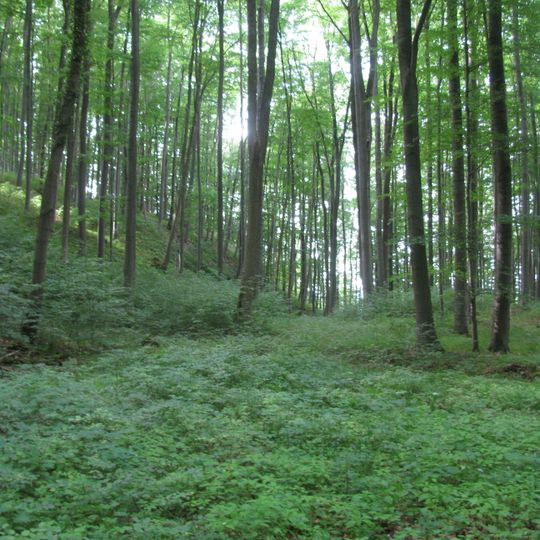 Dreiherrenstein-Eschenberg-Kreutzerberg