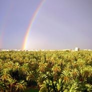 Valencia Region in Spain: main sites, monuments and places to visit