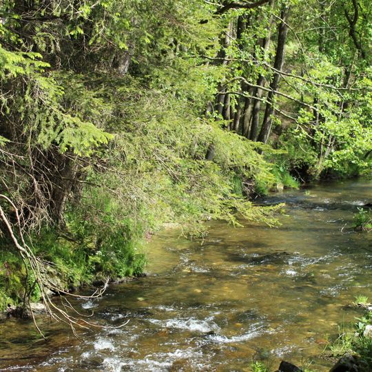 Ruhmannsfeldener Leite