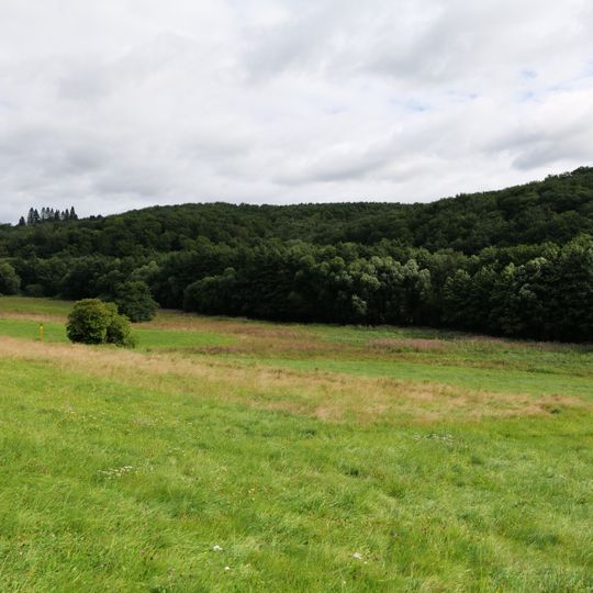 NSG Daisbachwiesen bei Bremthal