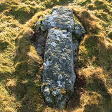 Coaxial fields, prehistoric settlements and cairns on Halshanger and Horridge Commons, forming part of the Rippon Tor coaxial fi