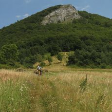 Temešská skala (prírodná rezervácia)