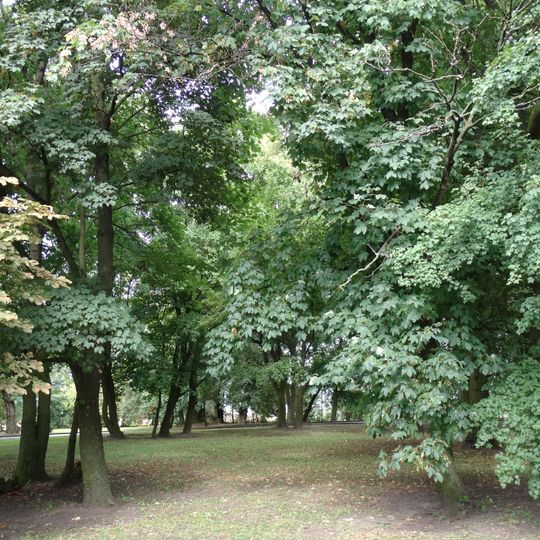 Manor park in Marcinkowo Górne