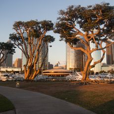Embarcadero Marina Park North