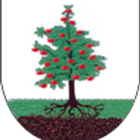 Obrazów