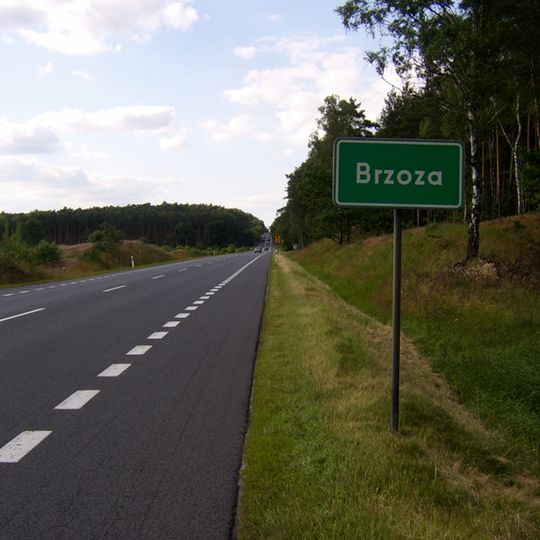 Brzoza, Toruń County