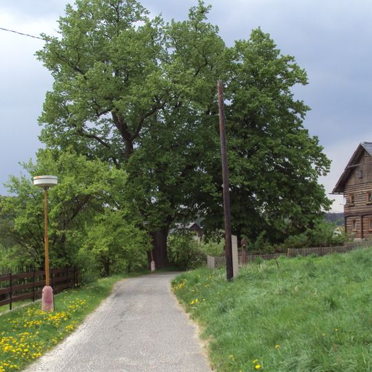 Lípa v Brništi u Nesvačila