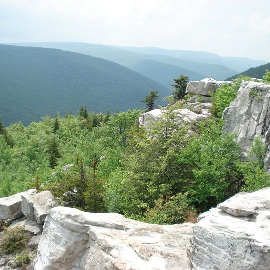 Dolly Sods Wilderness