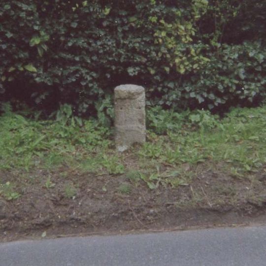 Milestone, London Road, W of jct with Old London Road, by "Romney Elm"