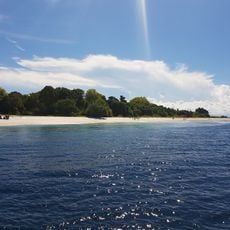 Sulu Archipelago rain forests