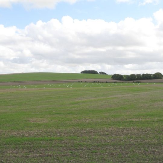 Roundway Down and Covert