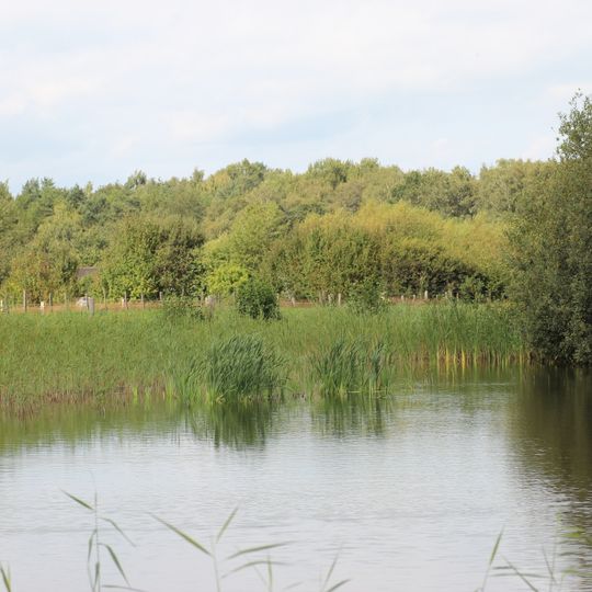 Heide und Heideweiher auf der Rekumer Geest