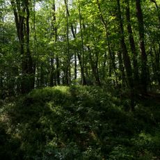Teilbereich der Kuruzzenschanze in Dedenitz