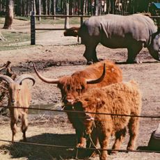 Safaripark Gänserndorf