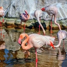Al Areen Wildlife Park