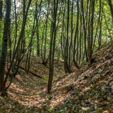 Enceinte de terre de la Bigotais