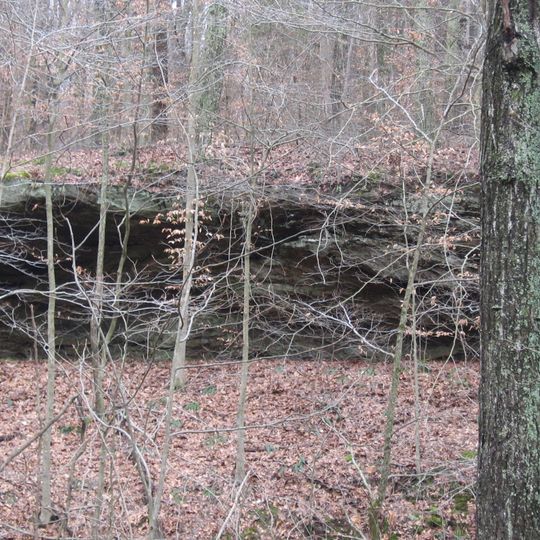 Potts Creek Rockshelter
