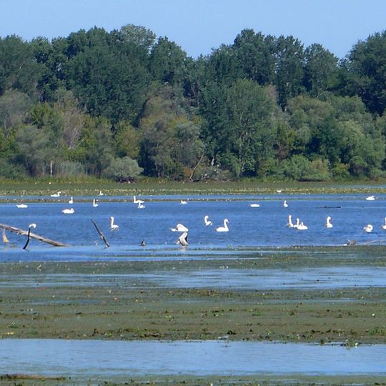 Riserva naturale Vallazza
