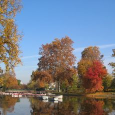 Lasek Vincennes