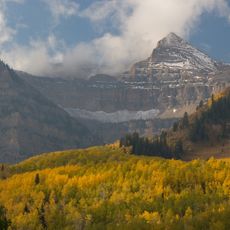 Uinta National Forest