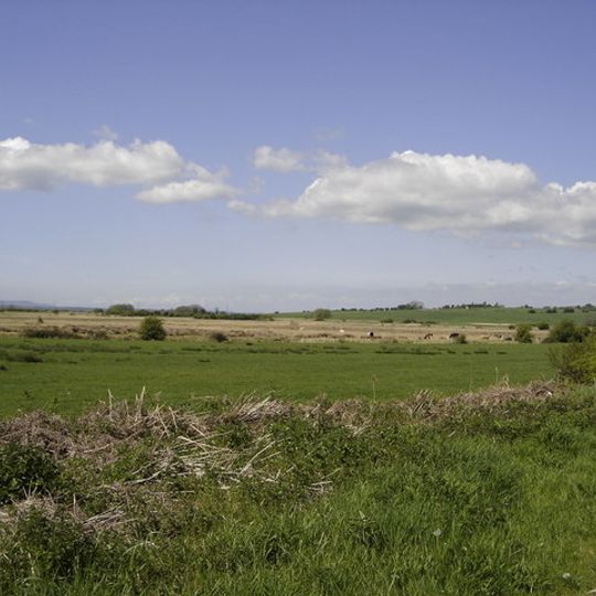 Pevensey Levels