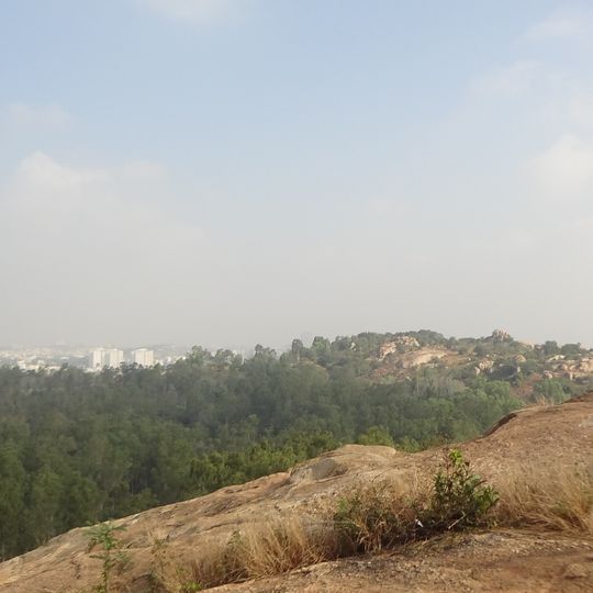 Turahalli Forest