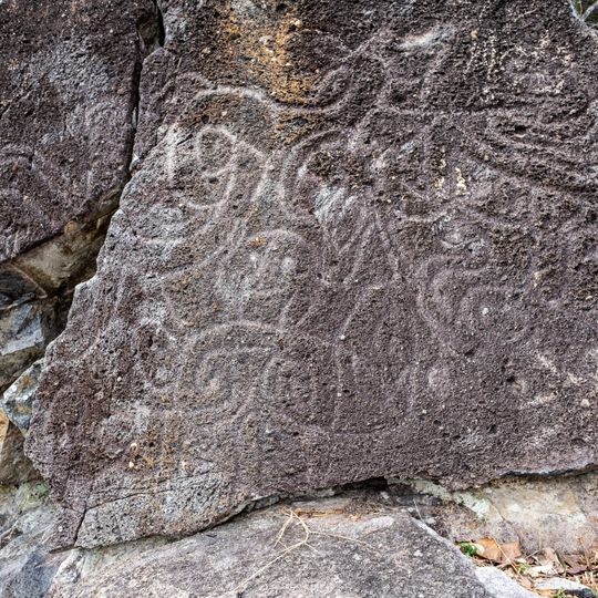 Rock Carving at Cape Collinson