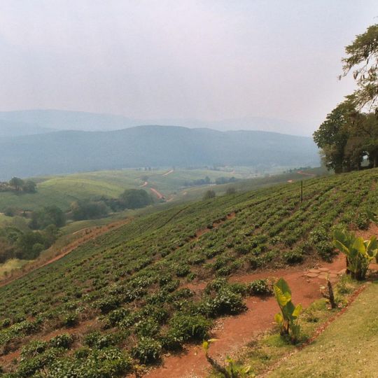 Tzaneen