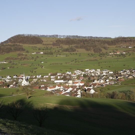 Gansingen