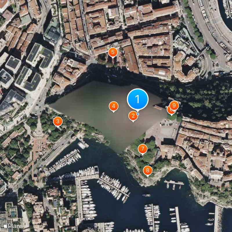 Palais de Monaco Carte