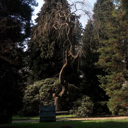 Michaeliskapelle und Friedhof Bahnhofstraße