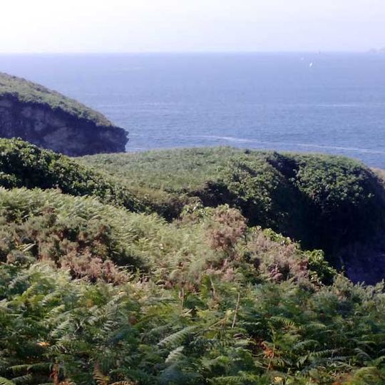 Castro de Punta Roza