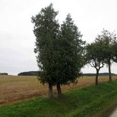 Pomník severně od Oselců