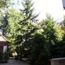 Park of Wilhelm Teszemacher's villa in Łódź