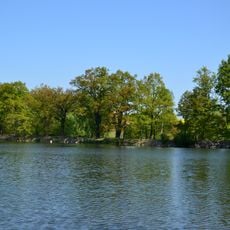 Duby u Dolního Fikače