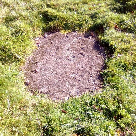 King's Park,cup & ring mark