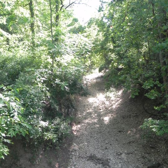 Possum Woods Conservation Area