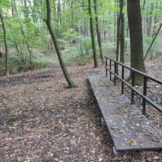 Nature Reserve Hněvošický háj