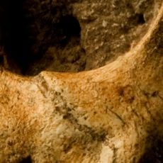 Cradle of Humankind