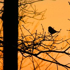 Krombachswiesen und Struth bei Sechshelden