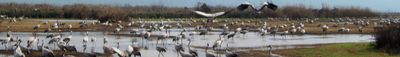 Panoramic View 0