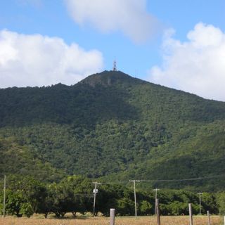 Boggy Peak