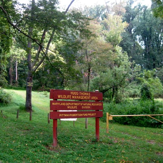 Hugg-Thomas Wildlife Management Area