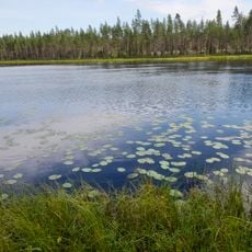 Keskimmäinen-Nuoramo