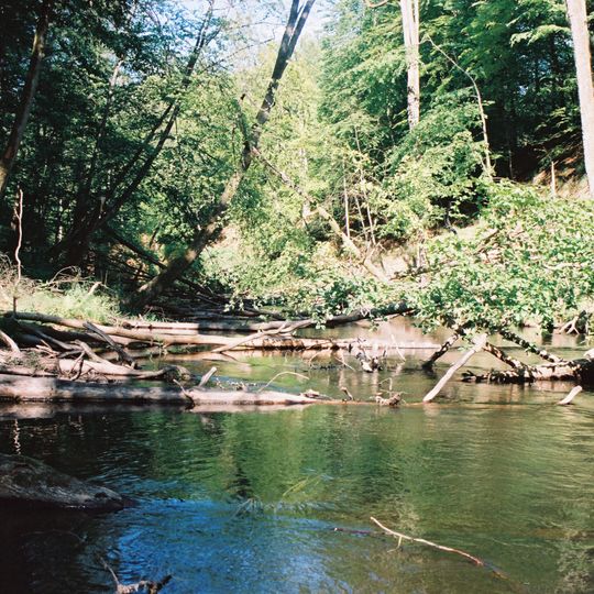 Nature reserve Przytoń