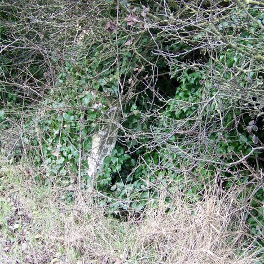 Milestone At Ngr St 871032