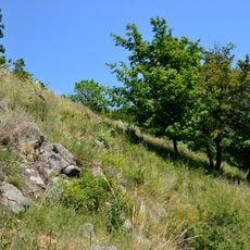 Štěpánovská hora (natural monument)